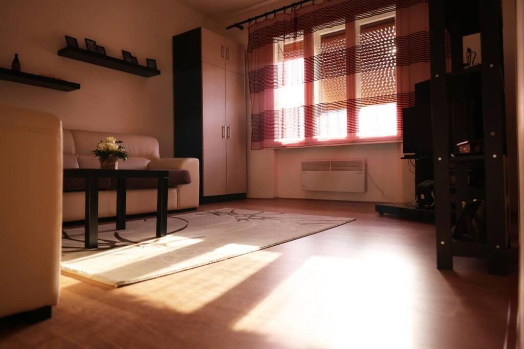 Viki Apartment Centar Ni Buitenkant foto