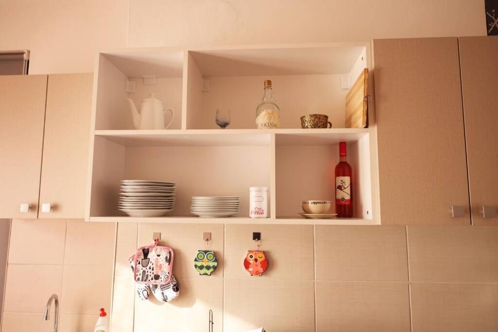 Viki Apartment Centar Ni Buitenkant foto